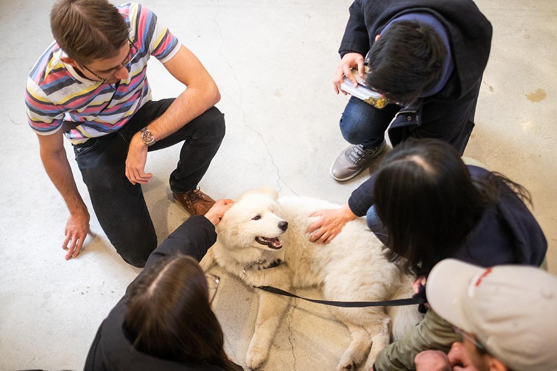 Faculty of Law students at the University of Toronto pet a dog visiting the law school on it's semi-annual "doggie day" (photo by Geoffrey Vendeville)